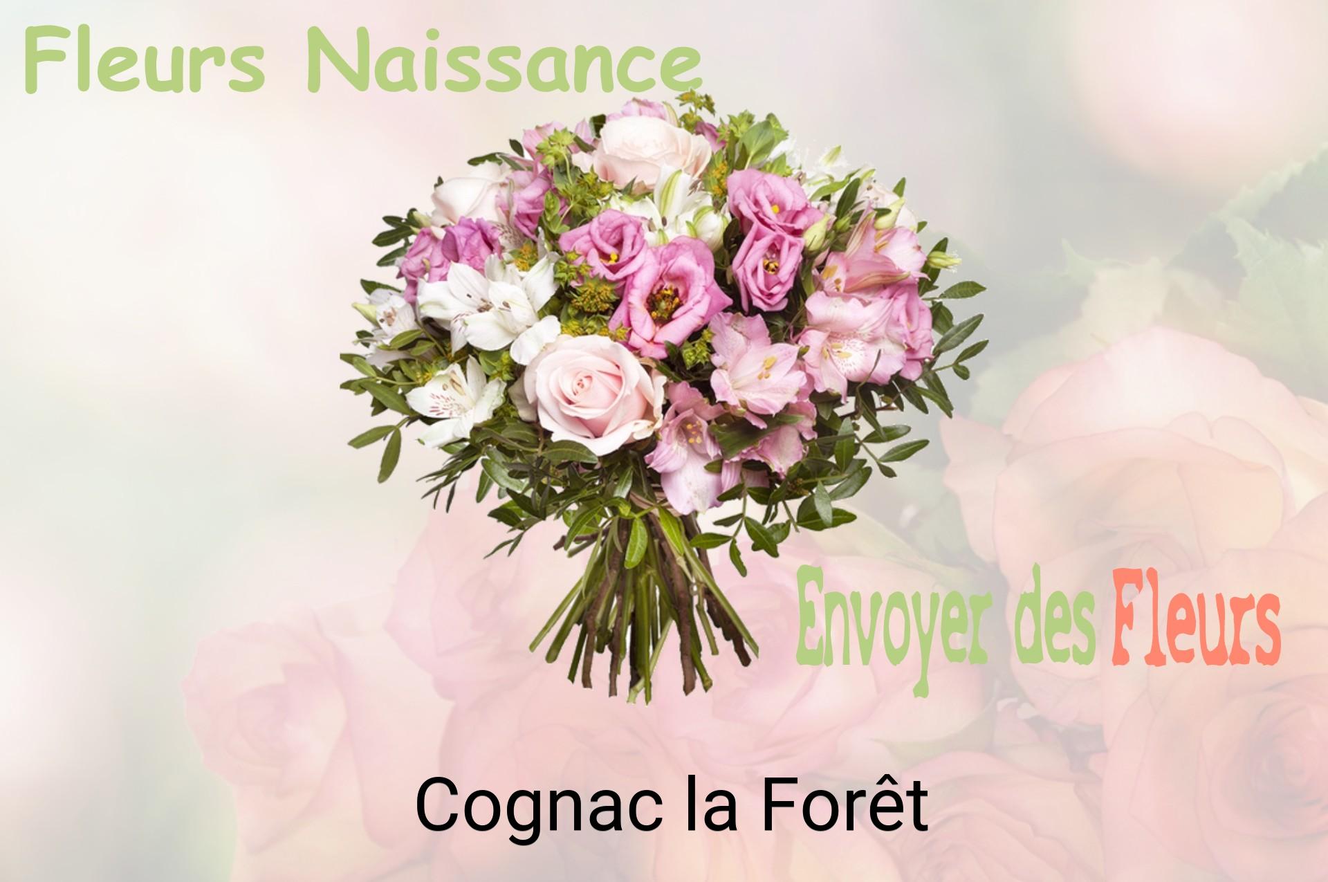 Bouquet de fleurs de naissance livré à Cognac-la-Forêt