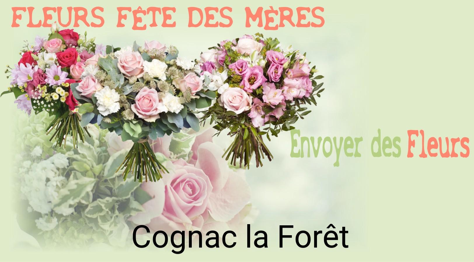 Bouquet de Fête des Mères livré à Cognac-la-Forêt